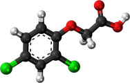 2,4 Дихлорфеноксиуксусная кислота - Трехмерная модель молекулы