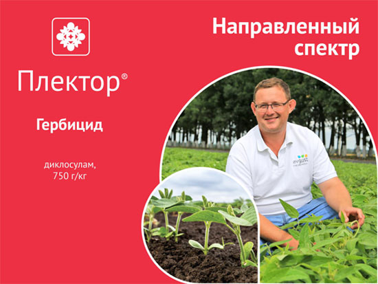Гербицид Плектор