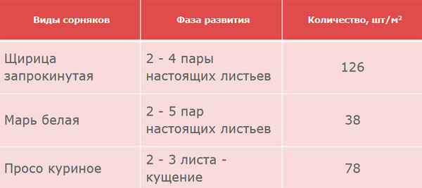 Сорняки перед обработкой