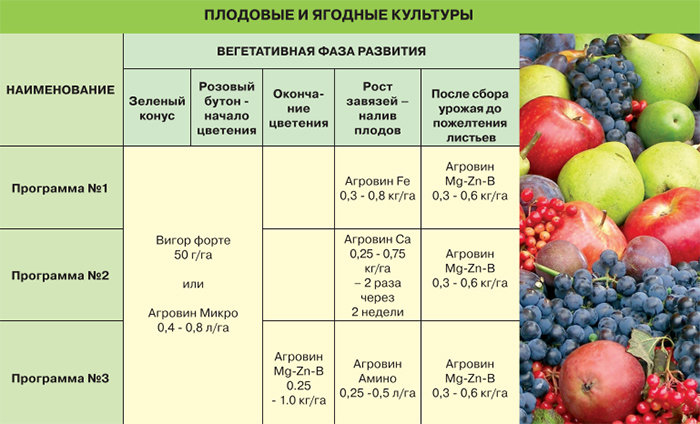 Плодовые и ягодные культуры